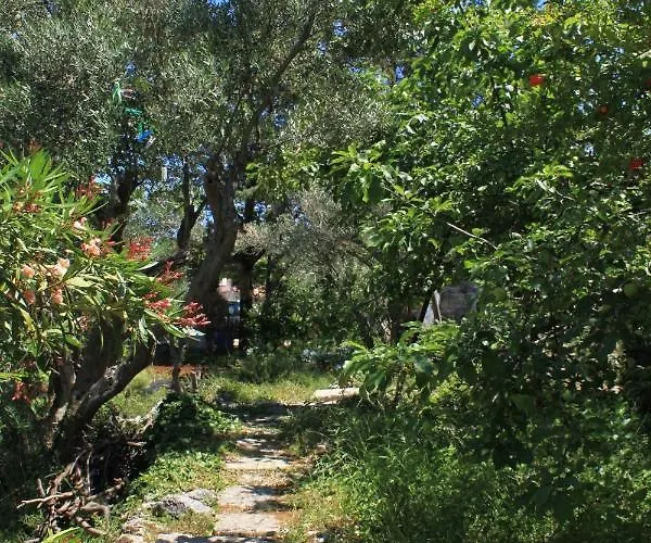 Apartment By The Sea Valun, Cres - 386 Valun