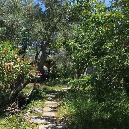 Apartment By The Sea Valun, Cres - 386 Valun
