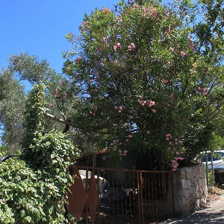 Apartman By The Sea Valun, Cres - 386 *